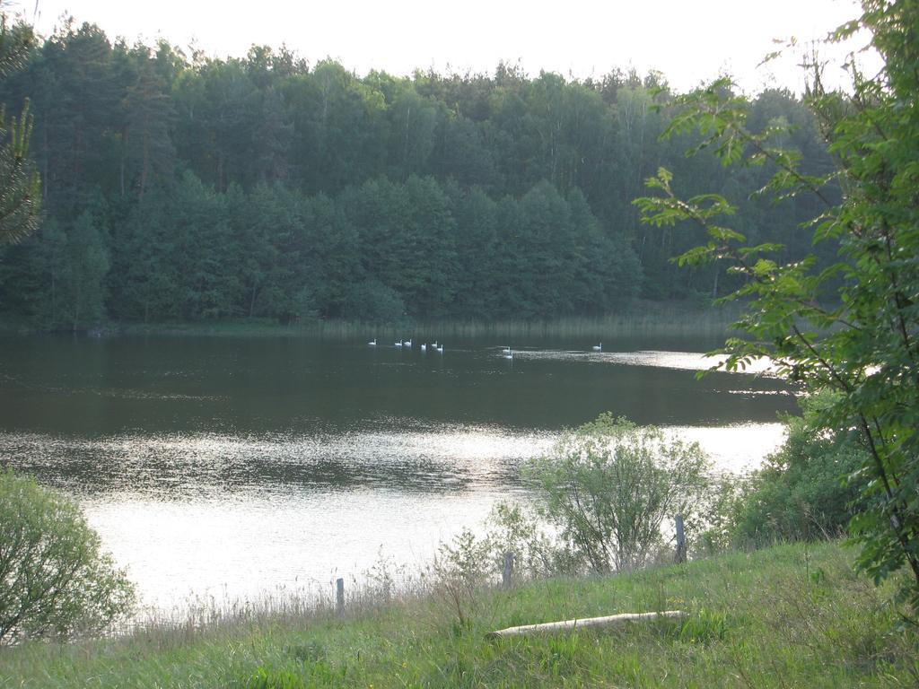 Za Piecem Guzowy Piec Exterior foto